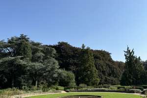 Property thumbnail 13