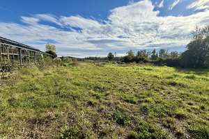 1a Lage in Günzburg! Ehem. Gärtnerei, 2 Wohnhäuser mit 5500m2 Grund mit großem Potenzial! – Die vollständige Adresse der Immobilie erhältst du vom Anbieter., 89312 Günzburg – Vorschaubild 10