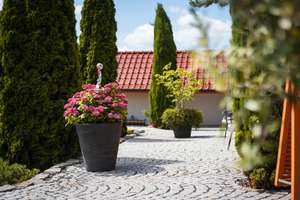 Exklusive Villa für Wohnen und Arbeiten – Ihr Rückzugsort mit Business-Perspektive – Neustädter Berg 4, 39319 Jerichow – Vorschaubild 3