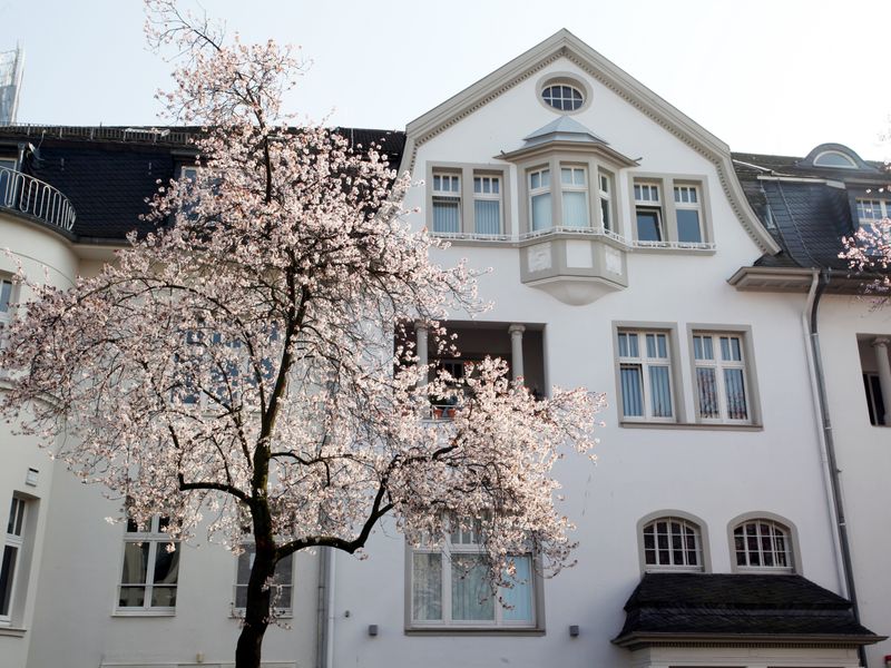 Wohnen auf Zeit in Bonn Möblierte Wohnungen bei ImmoScout24