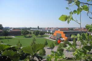 Property thumbnail 10