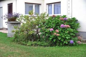 Freistehendes Einfamilienhaus  in Koblenz - Niederberg – Die vollständige Adresse der Immobilie erhältst du vom Anbieter., 56077 Niederberg, Koblenz – Vorschaubild 2