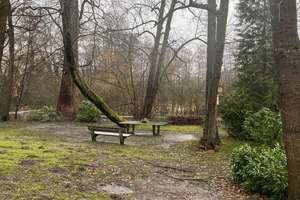 Property thumbnail 13