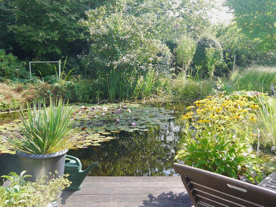 Steg zum Gartenteich hin