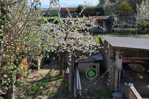 Landhaus für Gartenfreunde und Tierhalter! – Oder-Spree (Kreis) – Vorschaubild 19