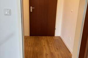 Renoviertes 1-Zimmer Apartment in Erlangen-Sieglitzhof zu vermieten – Die vollständige Adresse der Immobilie erhältst du vom Anbieter., 91054 Sieglitzhof, Erlangen – Vorschaubild 6