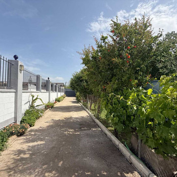 HAUS IN GEMEINSCHAFTSBESITZ MIT 1.000 M2 GRUNDSTÜCK IN CANTARRANA 520.000