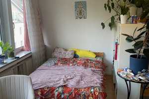 kleine Wohnung am Schloss Jägerhof  – Düsseldorf – Vorschaubild 5