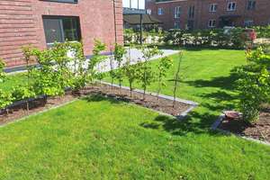 reserviert - 3 Zi-EG-Wohnung mit riesiger Süd-West-Terrasse im Hanseviertel von Lüneburg – Die vollständige Adresse der Immobilie erhältst du vom Anbieter., 21337 Neu-Hagen, Lüneburg – Vorschaubild 4