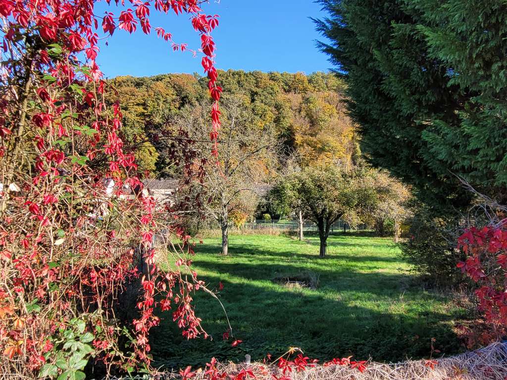 Immobilie in Eitorf - MANNELLA *Alt und neu harmonisch kombiniert* Stilsicher modernisiertes Haus für Individualisten - Bild 2