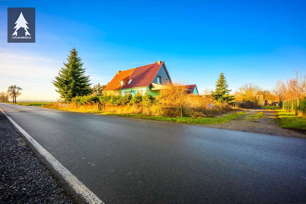 Immobilie in Seeland - Hier muss noch aufgeräumt werden - Bild 0