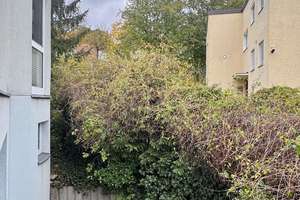 Idyllisch gelegene Stadtvilla - Wohnen über 2 Etagen und großem Garten – Spanische Allee 111A, 14129 Nikolassee, Berlin – Vorschaubild 15