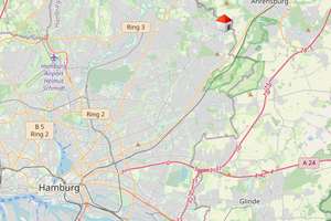 Doppelhaushälfte, großzügig, sonnig mit Kamin und Carport in Hamburg Volksdorf zu Verkaufen! – Die vollständige Adresse der Immobilie erhältst du vom Anbieter., 22359 Volksdorf, Hamburg – Vorschaubild 19