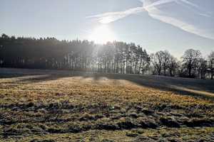 Stilvoll Leben umgeben von Wald, Feld und Wasser-ein einzigartiges Haus am Voßkanal – Oberhavel (Kreis) – Vorschaubild 26