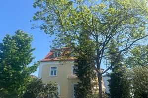 Großzügige Altbauvilla / großes Grundstück/ große Garage – Wiesbaden – Vorschaubild 38