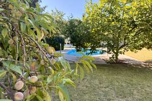 Property thumbnail 11