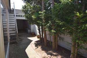großzügiges Einfamilienhaus mit 2 Einliegerwohnungen – Elsternweg 12, 40468 Unterrath, Düsseldorf – Vorschaubild 28