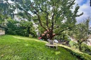 Stadthaus mit großem Garten... – Die vollständige Adresse der Immobilie erhältst du vom Anbieter., 74523 Schwäbisch Hall – Vorschaubild 8