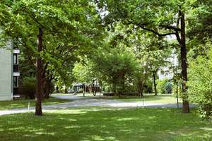 Modernisierte Gartenwohnung mit ca. 58 m² Privatgarten in ruhiger Lage von Obersendling – Steinmetzstraße 15, 81379 Obersendling, München – Vorschaubild 18