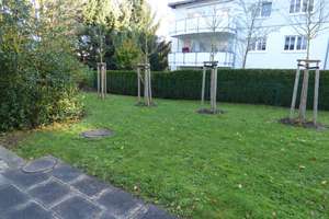 TERRASSENNEST MIT STELLPLATZ IM GRÜNEN ! – Zwickauer Straße 447a, 9117 Reichenbrand, Chemnitz – Vorschaubild 9