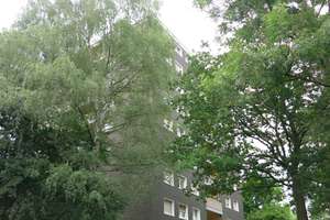 renovierte 3-Zimmer Wohnung mit Balkon und Gartenblick im Hochschulviertel. – Roggenkamp 9 1, 58095 Hochschulviertel, Hagen – Vorschaubild 7