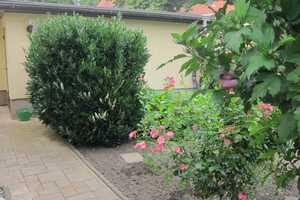 Property thumbnail 12