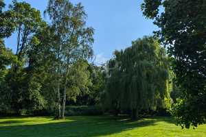 Einzigartiges Anwesen in idyllischer Lage – Stendal (Kreis) – Vorschaubild 8