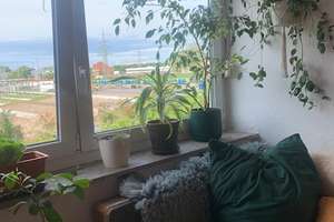 Schöne 1-Zimmer-Wohnung in Paderborn – Am Atlaswerk 2, 33106 Kernstadt, Paderborn – Vorschaubild 11