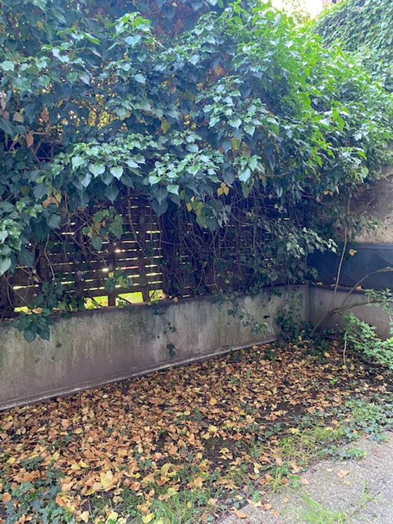 Terrassenwohnung - 1 ZKBT zu verkaufen
