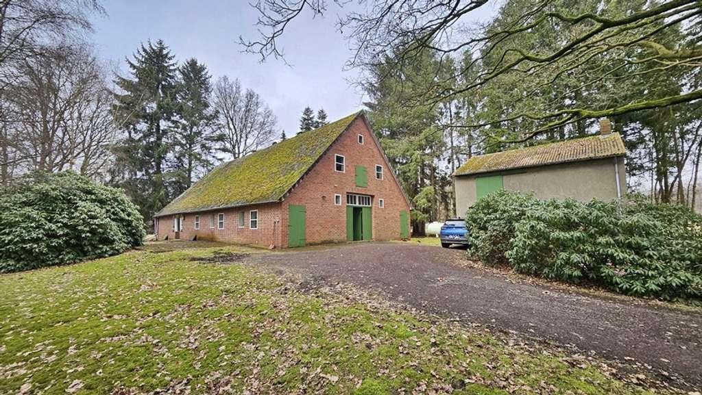 Immobilie in Gnarrenburg - immo-schramm.de: Reizvoll zurückgelegen: Bauernhaus und Grünland - Bild 0