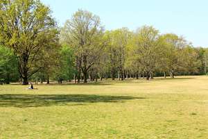 Der Preis ist heiß! Anlage ETW Im Herzen der Hauptstadt; zwischen Englischem Viertel und Volkspark – Die vollständige Adresse der Immobilie erhältst du vom Anbieter., 13349 Wedding, Berlin – Vorschaubild 6