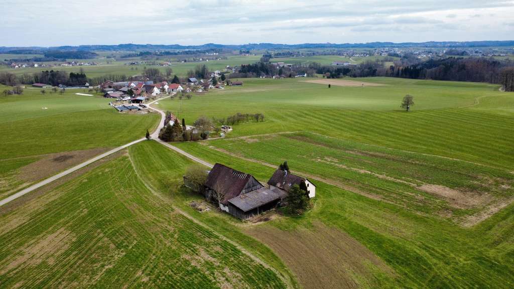 Immobilie in Bergatreute - Ländliche Ruheoase - Bild 0