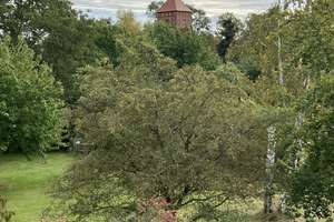Großzügiges Architekten-landhaus, voll unterkellert mit ca. 200 m² Wohnfläche in 17268 Fergitz UM – Fergitz 28a, 17268 Gerswalde – Vorschaubild 5