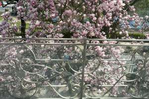 Luxuriöses 1-Zimmer Apartment mit Balkon mit Alsterblick