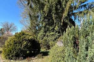Familienfreundliche Doppelhaushälfte mit viel Potenzial und großem Garten – Die vollständige Adresse der Immobilie erhältst du vom Anbieter., 22453 Niendorf, Hamburg – Vorschaubild 21