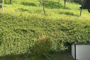 Freistehendes 1-Familienhaus in ruhiger Lage von Rehlingen-Siersburg-OT – Saarlouis (Kreis) – Vorschaubild 16