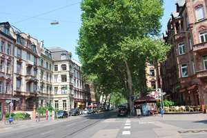 Property thumbnail 51