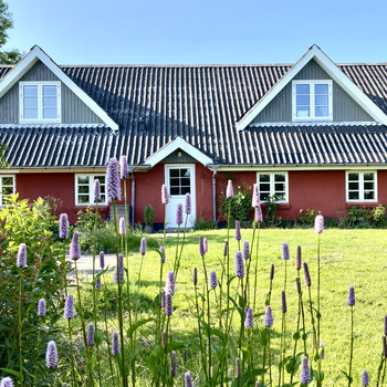 Stilvolle Haus Kaufen Dnemark Nordjtland Bild