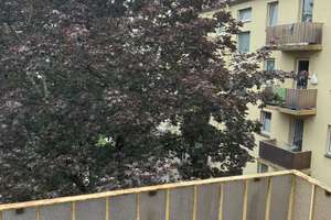 3-Zimmer-Wohnung im 3.OG. in Hagen-Wehringhausen – Franklinstr. 15, 58089 Wehringhausen, Hagen – Vorschaubild 13