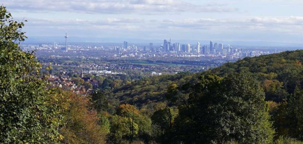 Exklusives Baugrundstück in bester Lage von Königstein-Falkenstein mit unverbaubarem Fernblick