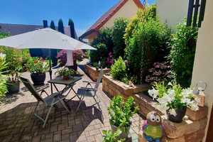 2 Häuser - Einfamilienhaus & Bungalow zentral in Lampertheim. Schönes Anwesen für Individualisten – Bergstraße (Kreis) – Vorschaubild 5