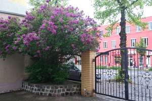 Property thumbnail 15