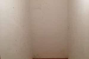 Helle Gartenwohnung mit 2. Bad und Hobbyraum im Untergeschoss! – Haseneystr. 17, 81377 Großhadern, München – Vorschaubild 10