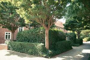 Wohnen im denkmalgeschützten Holländerhof in Weissensee – Woelckpromenade 28, 13086 Weißensee, Berlin – Vorschaubild 16