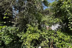 1. Reihe am Wannsee mit Seeblick – Imchenplatz 4, 14089 Kladow, Berlin – Vorschaubild 14