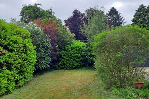 Wohnen mit Charakter: Einfamilienhaus in Hannover-Döhren – Klinkerfuesstraße 8, 30519 Döhren, Hannover – Vorschaubild 11