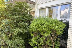 3-Zimmer Wohnung mit Balkon (Hochparterre) im Bismarckviertel, TG-Stellplatz, Klimaanlage - privat   – Die vollständige Adresse der Immobilie erhältst du vom Anbieter., 47799 Cracau, Krefeld – Vorschaubild 57