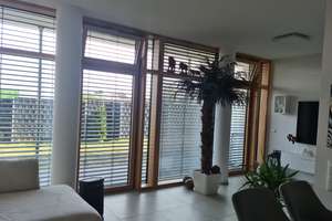 Exklusive 1,5-Zimmer-EG-Wohnung mit EBK und Terasse in Öhringen – Die vollständige Adresse der Immobilie erhältst du vom Anbieter., 74613 Öhringen – Vorschaubild 2
