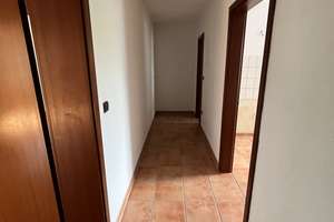 Duisburg Neudorf - 2 1/2 Zimmer Wohnung zum 01.06.2026 zu vermieten – Gellertstrasse 16, 47057 Neudorf-Nord, Duisburg – Vorschaubild 3