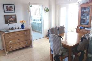 Geräumige Wohnung mit Appartment in Chemnitz – Carolastraße  1, 9111 Zentrum, Chemnitz – Vorschaubild 7